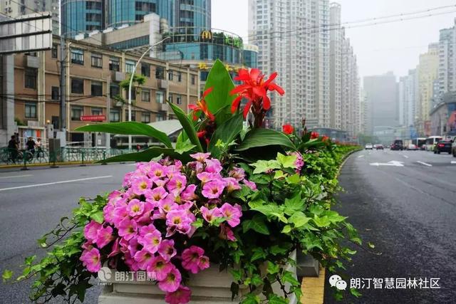 厉害了，上海长寿路上了头条！
