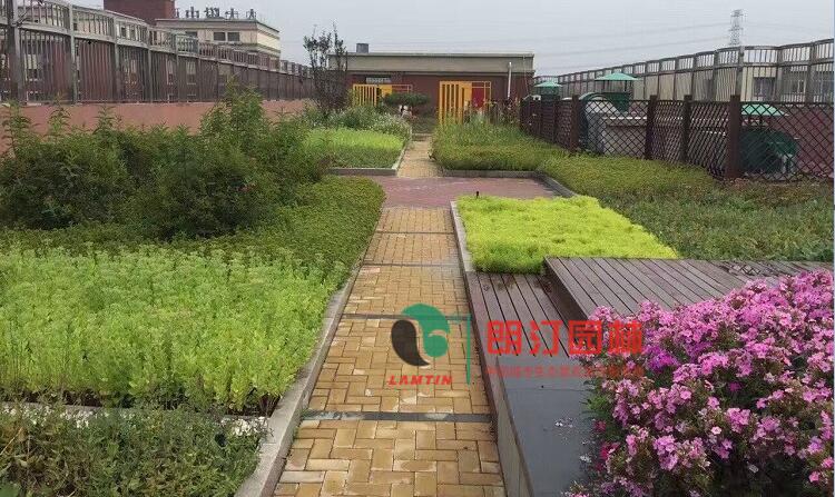 安徽合肥方糖花园屋顶绿化工程案例