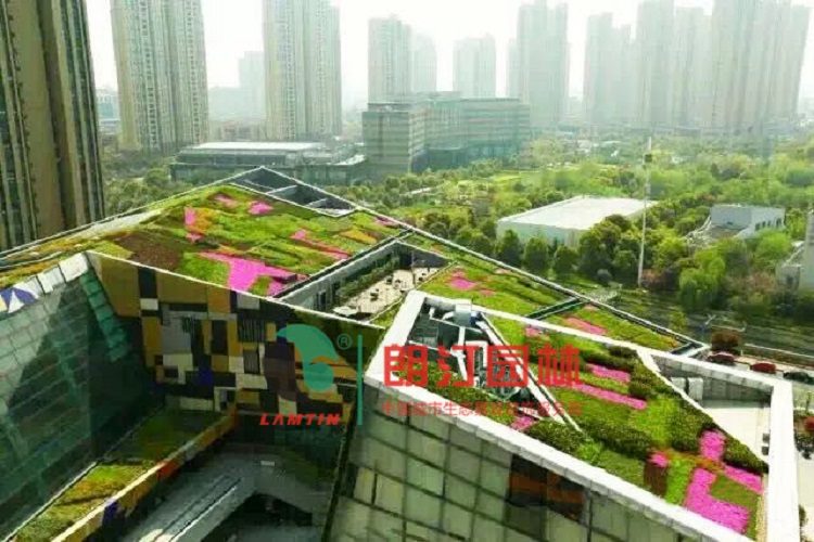 上海办公楼屋顶绿化工程案例