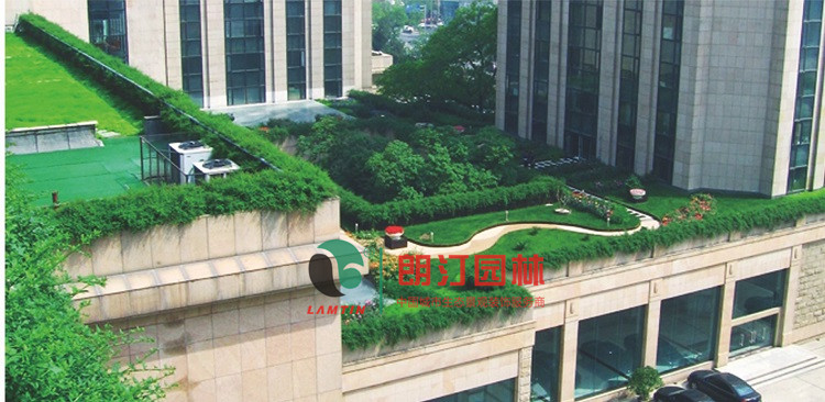 上海办公楼屋顶绿化工程案例