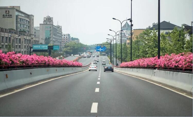 浙江杭州高架桥绿化工程案例