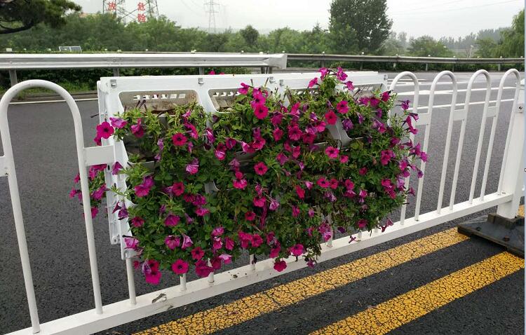道路中央隔离护栏挂花花盆
