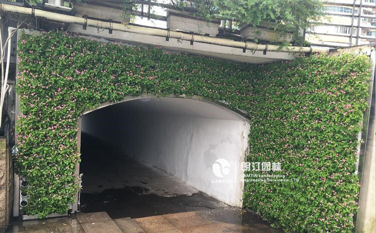 地下通道入口垂直绿化植物墙