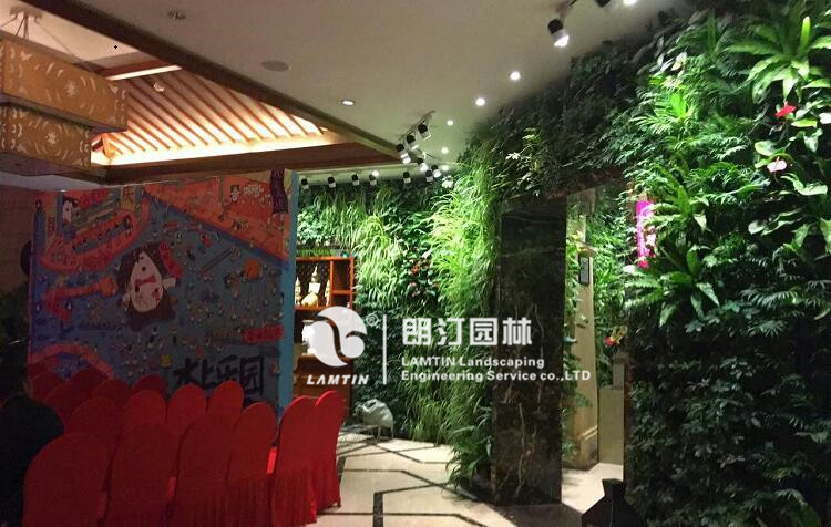 深圳室内墙体绿化案例