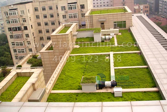 屋顶绿化公司