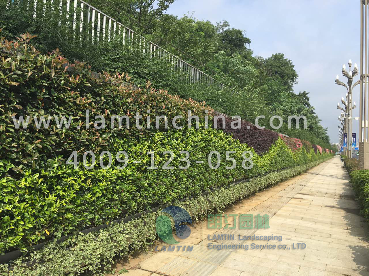 贵州7000平墙体绿化