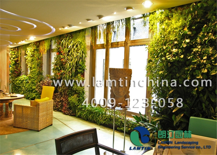 安徽朗汀垂直墙体绿化