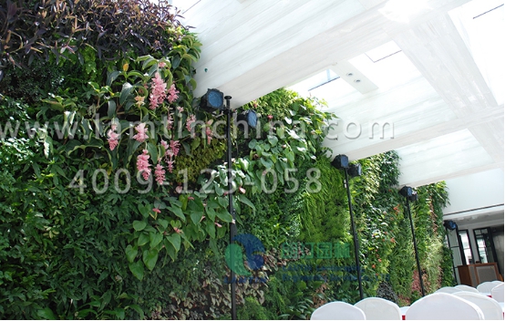室外植物墙